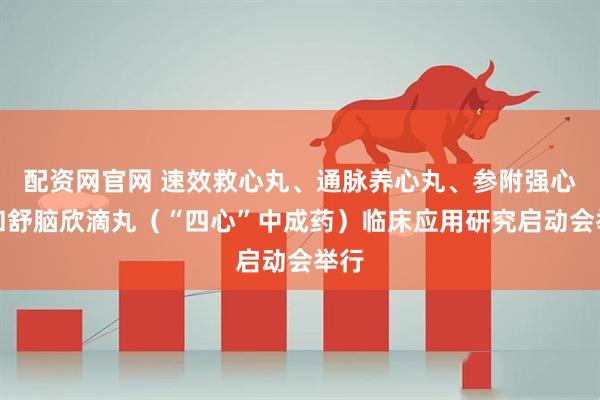 配资网官网 速效救心丸、通脉养心丸、参附强心丸和舒脑欣滴丸（“四心”中成药）临床应用研究启动会举行